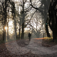 Walking in Epping Forest during the Covid-19 UK lockdown.