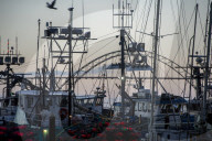 Fishermen's wives: how unsung efforts keep a way of life afloat. From Oregon to Massachusetts, fishermen’s wives associations are the backbone of their communities, acting as agents, support networks and agitators.