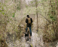 Florida's feral hogs: a pervasive pest – but a profitable one for some. The US’s most destructive invasive species numbers in the millions, clashing with a growing human population and boosting a lucrative hunting industry.