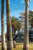 NEWS - Coronavirus: Kein Corona-Risikogebiet mehr - Mallorca wachts langsam wieder auf