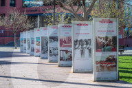 NEWS - Coronavirus: Kein Corona-Risikogebiet mehr - Mallorca wachts langsam wieder auf