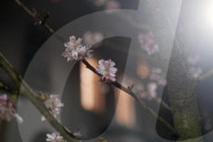 Surreal dreams in lockdown: a photo diary. Lockdown felt like the dark days of a surreal dream to the photographer Linda Nylind. She reflects on this feeling over the winter period and the effects of the loneliness experienced by many on our mental health