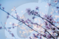 Surreal dreams in lockdown: a photo diary. Lockdown felt like the dark days of a surreal dream to the photographer Linda Nylind. She reflects on this feeling over the winter period and the effects of the loneliness experienced by many on our mental health