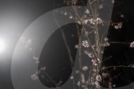 Surreal dreams in lockdown: a photo diary. Lockdown felt like the dark days of a surreal dream to the photographer Linda Nylind. She reflects on this feeling over the winter period and the effects of the loneliness experienced by many on our mental health