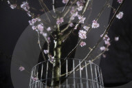 Surreal dreams in lockdown: a photo diary. Lockdown felt like the dark days of a surreal dream to the photographer Linda Nylind. She reflects on this feeling over the winter period and the effects of the loneliness experienced by many on our mental health