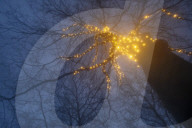 Surreal dreams in lockdown: a photo diary. Lockdown felt like the dark days of a surreal dream to the photographer Linda Nylind. She reflects on this feeling over the winter period and the effects of the loneliness experienced by many on our mental health