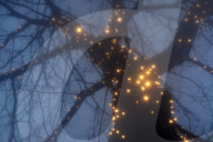 Surreal dreams in lockdown: a photo diary. Lockdown felt like the dark days of a surreal dream to the photographer Linda Nylind. She reflects on this feeling over the winter period and the effects of the loneliness experienced by many on our mental health