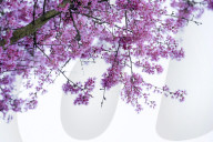 Surreal dreams in lockdown: a photo diary. Lockdown felt like the dark days of a surreal dream to the photographer Linda Nylind. She reflects on this feeling over the winter period and the effects of the loneliness experienced by many on our mental health