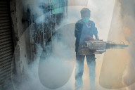 NEWS - Begasung gegen die Ausbreitung von Dengue-Krankheiten in Jakarta