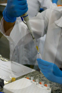 NEWS - Coronavirus: Brasilien - Amazonas startet CovacManaus-Studie