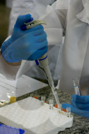 NEWS - Coronavirus: Brasilien - Amazonas startet CovacManaus-Studie