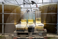 ‘Our biggest challenge? Lack of imagination’: the scientists turning the desert green. In China, scientists have turned vast swathes of arid land into a lush oasis. Now a team of maverick engineers want to do the same to the Sinai.