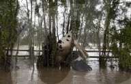 Australian floods