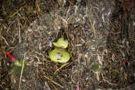 Finding calm: the Thames at low tide during lockdown. Photographer David Levene found himself drawn to water, and the River Thames at low tide, for his second lockdown photo diary.