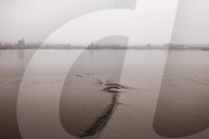 Finding calm: the Thames at low tide during lockdown. Photographer David Levene found himself drawn to water, and the River Thames at low tide, for his second lockdown photo diary.