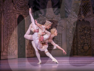 Performing arts archive