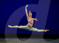 Performing arts archive