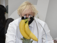 Boris visits the Monkey Puzzle Nursery