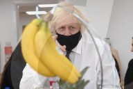 Boris visits the Monkey Puzzle Nursery