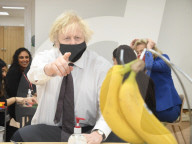 Boris visits the Monkey Puzzle Nursery