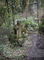 FEATURE - Nunhead Cemetery : Ein zugewachsener viktorianischer Friedhof in London