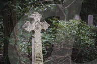 FEATURE - Nunhead Cemetery : Ein zugewachsener viktorianischer Friedhof in London