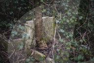 FEATURE - Nunhead Cemetery : Ein zugewachsener viktorianischer Friedhof in London