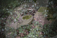 FEATURE - Nunhead Cemetery : Ein zugewachsener viktorianischer Friedhof in London