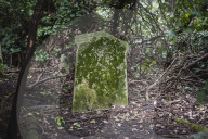 FEATURE - Nunhead Cemetery : Ein zugewachsener viktorianischer Friedhof in London