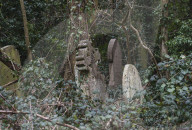 FEATURE - Nunhead Cemetery : Ein zugewachsener viktorianischer Friedhof in London