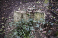 FEATURE - Nunhead Cemetery : Ein zugewachsener viktorianischer Friedhof in London