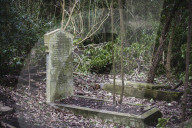 FEATURE - Nunhead Cemetery : Ein zugewachsener viktorianischer Friedhof in London