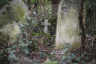 FEATURE - Nunhead Cemetery : Ein zugewachsener viktorianischer Friedhof in London
