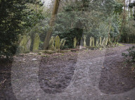 FEATURE - Nunhead Cemetery : Ein zugewachsener viktorianischer Friedhof in London
