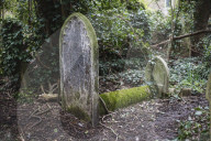 FEATURE - Nunhead Cemetery : Ein zugewachsener viktorianischer Friedhof in London