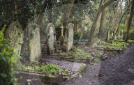 FEATURE - Nunhead Cemetery : Ein zugewachsener viktorianischer Friedhof in London