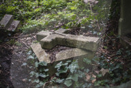 FEATURE - Nunhead Cemetery : Ein zugewachsener viktorianischer Friedhof in London
