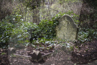 FEATURE - Nunhead Cemetery : Ein zugewachsener viktorianischer Friedhof in London