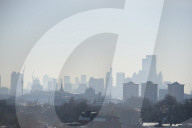 Primrose Hill this morning.