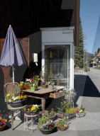 NEWS - Coronavirus: Blumenautomaten bieten einen 7/24-Service in Fribourg