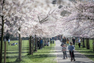 NEWS - Coronavirus: Einwohner Londons bevölkern bei warmen Wetter den Primrose Hill