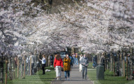 NEWS - Coronavirus: Einwohner Londons bevölkern bei warmen Wetter den Primrose Hill