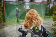 People savour getting outdoors and being able to use sports clubs again as the lockdown restrictions are eased.
