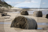 Australian floods