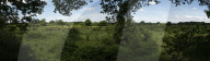 The Knepp estate
