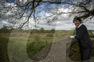 The Knepp estate