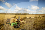 Reed cutters on the Norfolk Broads keeping the rural tradition alive supplying reeds to make thatched roofs.
