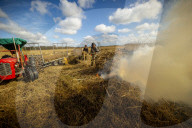 Reed cutters on the Norfolk Broads keeping the rural tradition alive supplying reeds to make thatched roofs.