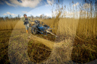 Reed cutters on the Norfolk Broads keeping the rural tradition alive supplying reeds to make thatched roofs.