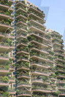 FEATURE - China: Vertikale Gärten in Chengdou